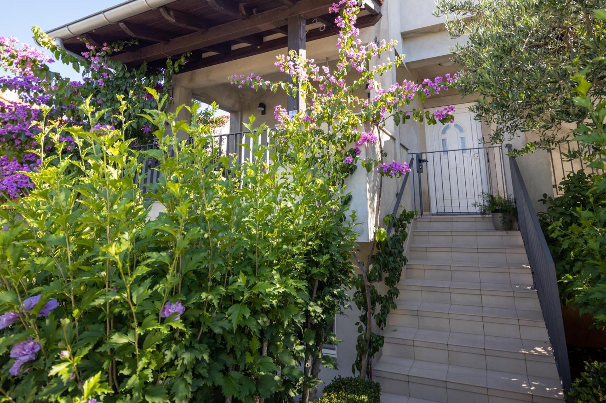 Lumaja Luxury Apartman Biograd Na Moru Dış mekan fotoğraf